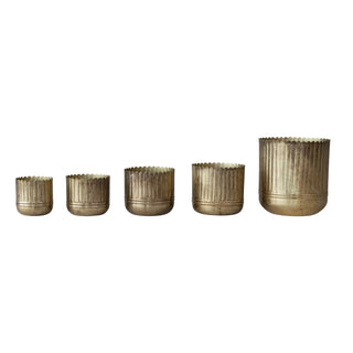 Metal Ribbed Planters with Scalloped Rim Assorted
