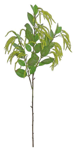 Mini Amaranthus in Green 35"  weep hang natural