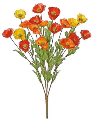 Mini Poppy Bush x 20, 3" Blooms yellow orange red