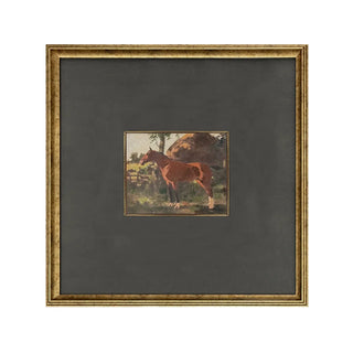 Morrison Framed Print horse field grey mat