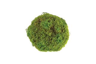 Moss Ball in Green 5.91"