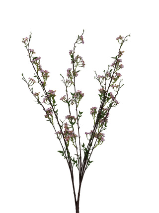 Mountain Blossom 35" Assorted pink