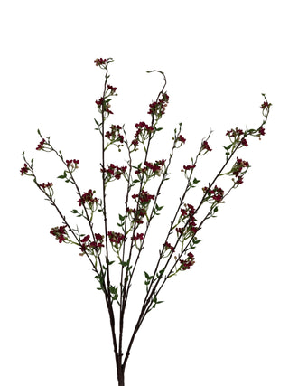 Mountain Blossom 35" Assorted red