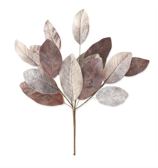 Multicolor Fall Magnolia Leaf Bush brown cream