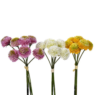 Mum x 7 11" Assorted pink yellow white