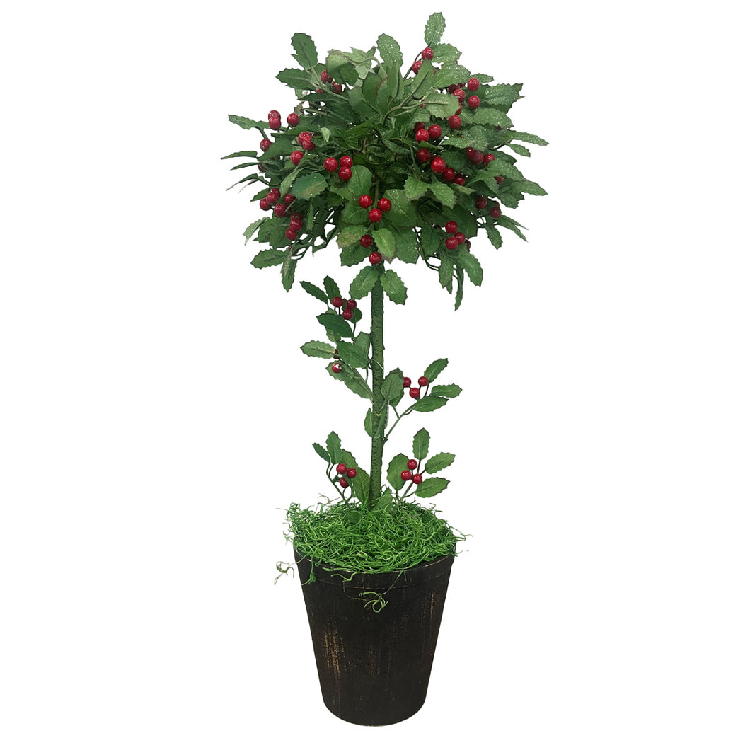 Large Holly Topiary