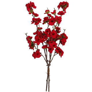 Christmas Balsam Red