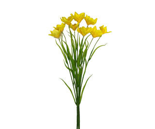 Narcissus x 5 27" Yellow