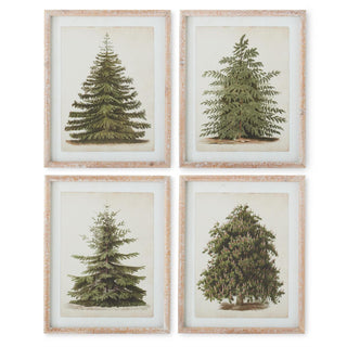 Natural Carved Wood Framed Pine Tree Print Assorted