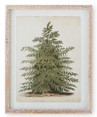 Natural Carved Wood Framed Pine Tree Print Assorted