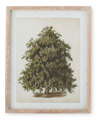 Natural Carved Wood Framed Pine Tree Print Assorted