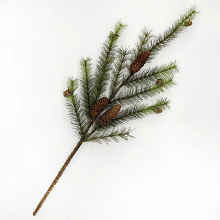 Northern Spruce Stem  pine cone