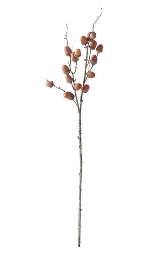 Orange/Brown Acorn Stem orange brown