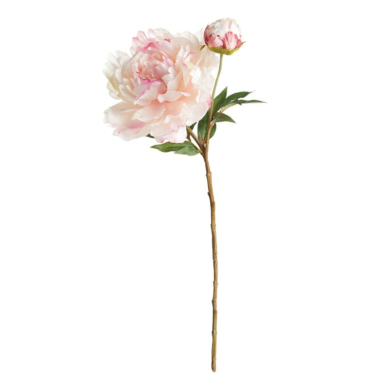 Peony Stem 21