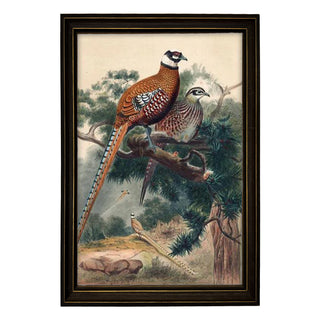 Framed Vintage Reeves Pheasant Couple Painting