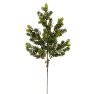 Pine Branch 38"