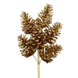 Pinecone Bundle x 6 in Gold