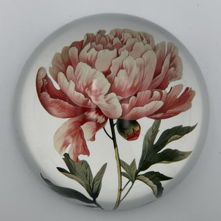 Pink Peony Paperweight