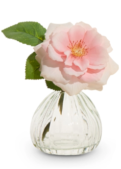 Pink Rose Stem in Glass Vase, Assorted