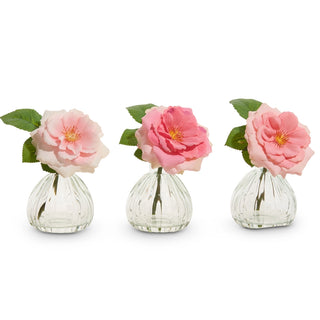 Pink Rose Stem in Glass Vase, Assorted