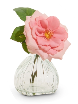 Pink Rose Stem in Glass Vase, Assorted