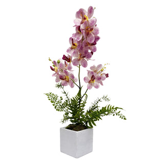 Pink Orchid Arrangement