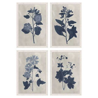 Pressed Flower II Artwork Assorted Four framed botanical prints with blue floral silhouettes on a beige background navy blue