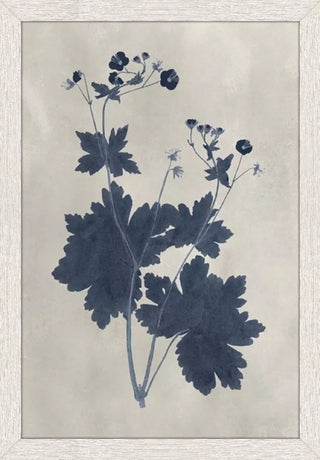 Pressed Flower II Artwork Assorted Four framed botanical prints with blue floral silhouettes on a beige background navy blue maple light blue 