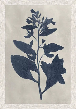Pressed Flower II Artwork Assorted Four framed botanical prints with blue floral silhouettes on a beige background navy blue white frame