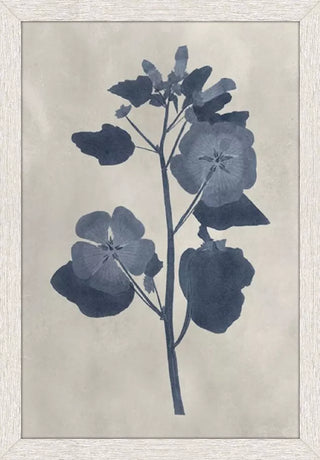Pressed Flower II Artwork Assorted Four framed botanical prints with blue floral silhouettes on a beige background navy blue