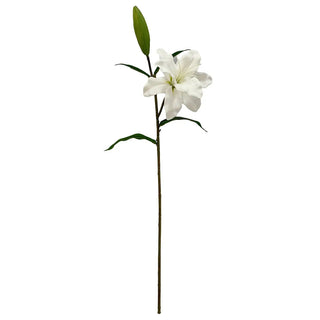 Princess Lily in White
