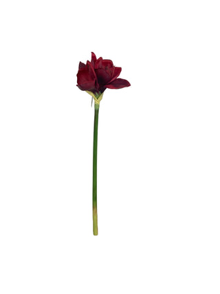 Real Touch Burgundy Amaryllis Stem 28"