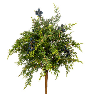 Real Touch Cedar & Blue Berry Bush 21"