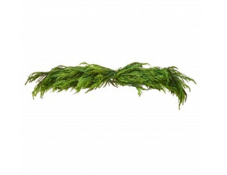 Real Touch Cedar / Norfolk Pine Swag 48" mantle Christmas winter green greenery