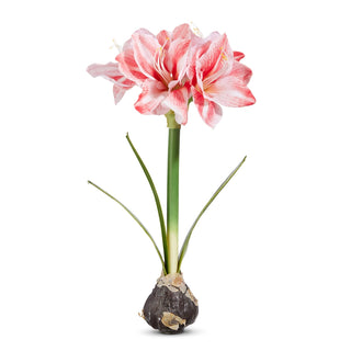 Real Touch Pink Amaryllis Bulb 19"