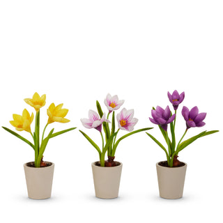 Real Touch Potted Crocus Bulb Assorted Spring flower yellow white purple