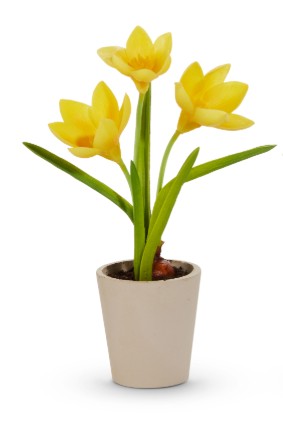 Real Touch Potted Crocus Bulb Assorted yellow spring flower pot
