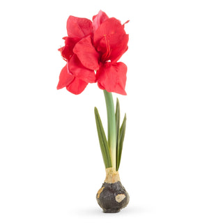 Real Touch Red Amaryllis Bulb 19"