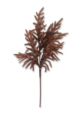 Real Touch Rust Norfolk Pine Stem 24" brown fall autumn 