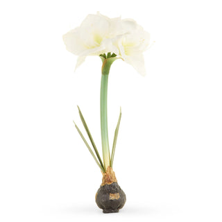 Real Touch White Amaryllis Bulb 19"
