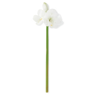 Real Touch White Amaryllis Stem 28"