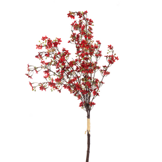 Red Wax Flower Bundle