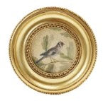 Resin Mini Framed Art Magnet in Gold Finish Assorted gray bird round 