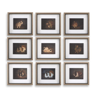 A collection of nine framed prints featuring illustrations of resting rabbits, each framed in a warm wood grain frame.