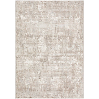 Rhodes RR3 8x10 Rug in Taupe Beige and brown textured area rug on a white background