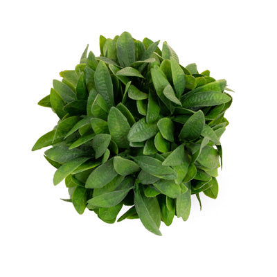Laurel Leaves Ball