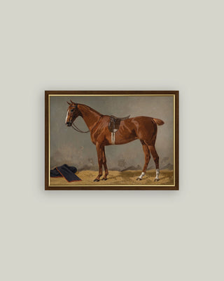 Saddled Horse Framed Antique Art 15"x11" stallion brown