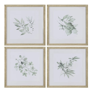 Sage Foliage Artwork Assorted leaf leaves silver frame