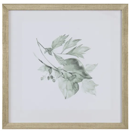 Sage Foliage Artwork Assorted silver frame flower leaves leaf  silver frame