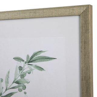 Sage Foliage Artwork Assorted silver frame leaf leaves green